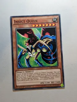 Insect Queen - DPBC-EN026 - Common 1st Edition Yugioh - LP - Image 1