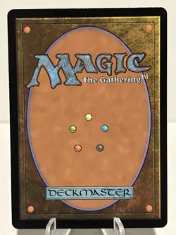 Plains (0272) 272 L Murders at Karlov Manor FOIL NM MTG - Image 2