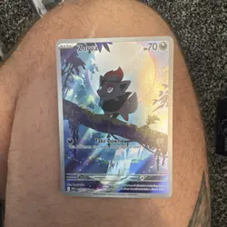 Pokemon TCG - White Flare: Zorua 142/086 Full Art Illustration Rare Holo (ENG) - Image 2