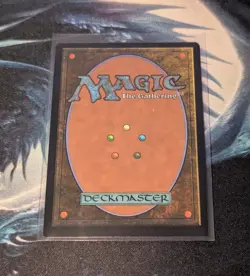 Magic The Gathering T.M.N.T. Sword of Hearth and Home Borderless Foil M/NM - Image 2