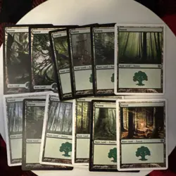 Magic: The Gathering Bulk Basic Land Lot | MTG | 12 - FOREST - Image 1
