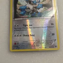 Pokemon Furfrou 90/119 XY - Phantom Forces Reverse Holo Uncommon Basic 90 HP TCG - Image 3