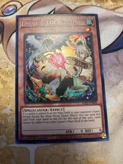 Droll & Lock Bird (Alternate Art) RA02-EN006 Secret Rare 1st Edition NM Yugioh - Image 1