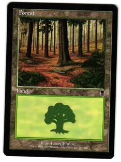 Magic_the_gathering Odyssey Forest (347) #347 2001,MTG,LP Land - Image 1