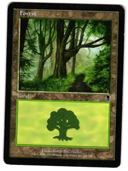 Magic_the_gathering Odyssey Forest (350) #350 2001,MTG,LP Land - Image 1