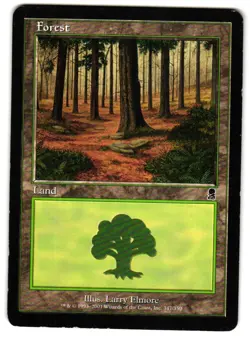Magic_the_gathering Odyssey Forest (347) #347 2001,MTG,LP Land - Image 1