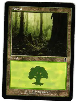 Magic_the_gathering Odyssey Forest (348) #348 2001,MTG,LP Land - Image 1