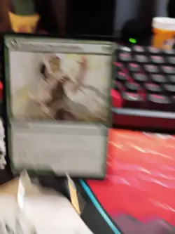 Vastwood Fortification // Vastwood Thicket [Zendikar Rising] Magic MTG - Image 2