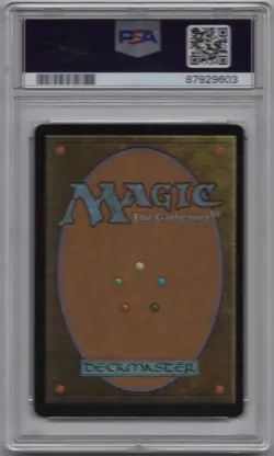 Rhystic Study (Anime Borderless) (Confetti Foil) Wilds of Eldraine - PSA 10 - Image 2