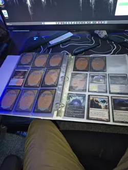 Magic: The Gathering Land Lot - Image 2
