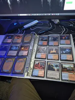 Magic: The Gathering Land Lot - Image 3