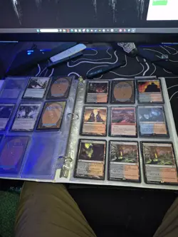 Magic: The Gathering Land Lot - Image 4