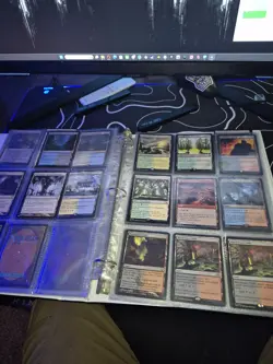 Magic: The Gathering Land Lot - Image 5