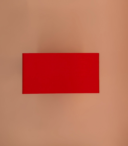 Disney Lorcana Deck Box 3D Printed Holds Two 60 Card Sleeved Decks - Red/White - Image 4