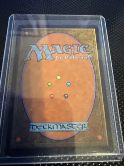 Survival of the Fittest - Magic: The Gathering - Exodus - Light Play - Image 2