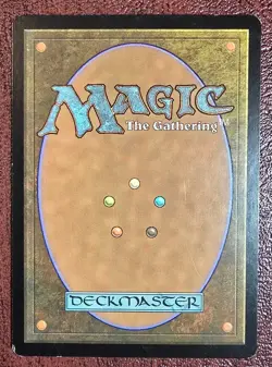 Noble Hierarch - MtG Conflux - R087 NM 2009 - Image 3