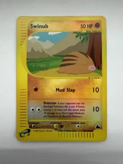 Swinub - Reverse Holo - 108/144 Skyridge - WOTC - Pokemon TCG - 2003 - Image 1
