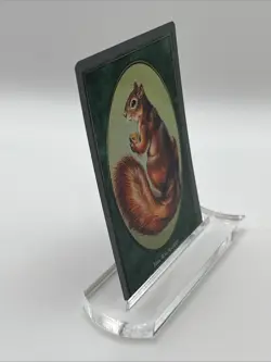 Squirrel Unglued Token 1998 Near Mint Never Played Magic The Gathering Mtg - Image 2