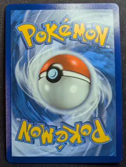 Brawly - 212/198 Chilling Reign (Pokemon) - Image 2