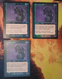 MTG: Magic: **FOIL Ravenous Rats MP (Invasion)** - Image 1