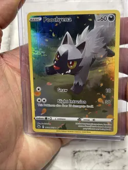Poochyena GG33/GG70 Holo Crown Zenith Galarian Gallery Pokemon Holo NM/MT Card - Image 1