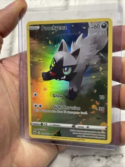 Poochyena GG33/GG70 Holo Crown Zenith Galarian Gallery Pokemon Holo NM/MT Card - Image 2