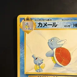 Pokemon Vintage Southern Islands Wartortle 15/18 Rare Japanese Promo - Image 3