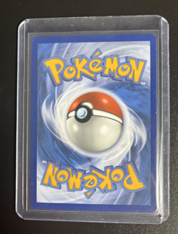 Swinub 165/159 SV09 Journey Together Illustration Rare Full Art TCG Pokemon - Image 2