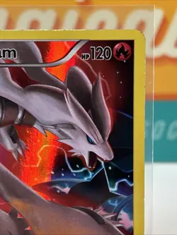 Reshiram XY74 Full Art Black Star Promo Pokemon TCG 2015 XY Promos HP - Image 5