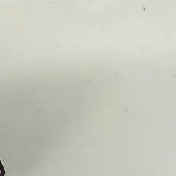 Dragon Ball Super Card Game SEALED Bulma the Bunny Girl BT10-011 Foil Super Rare - Image 5