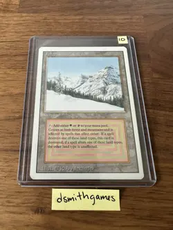 Wizards of the Coast Taiga Rare Land Revised Regular Rob Alexander - Image 1