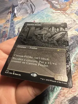 MTG Carrion Feeder (Borderless) Foil Etched Secret Lair Drop NM - Image 4