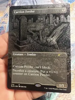 MTG Carrion Feeder (Borderless) Foil Etched Secret Lair Drop NM - Image 5