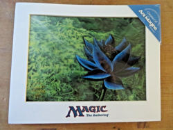 Magic The Gathering ~ BLACK LOTUS 1998 WIZARDS OF THE COAST 1/5000 w/COA - Image 1