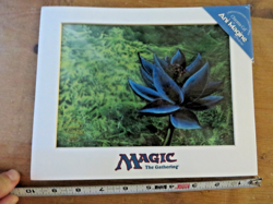 Magic The Gathering ~ BLACK LOTUS 1998 WIZARDS OF THE COAST 1/5000 w/COA - Image 2