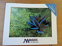 Magic The Gathering ~ BLACK LOTUS 1998 WIZARDS OF THE COAST 1/5000 w/COA - Image 3