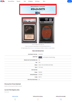 1994 MTG Magic the Gathering Revised Terror Vintage WOTC PSA 9 Mint POP 8 - Image 3