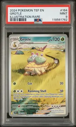2024 POKEMON TEF EN-TEMPORAL FORCES #164 GROTLE ILLUSTRATION RARE - Image 1