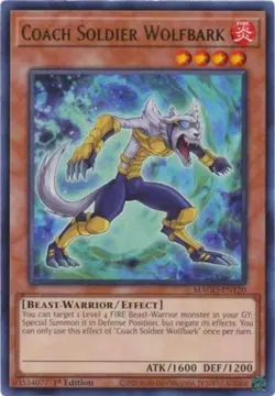 Coach Soldier Wolfbark - MAGO-EN120 - Rare - 1st Edition - Lightly Played - Maxi - Image 1