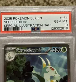 2025 POKEMON BLK EN-BLACK BOLT #164 SERPERIOR EX SPECIAL IR PSA 10 POP 326 - Image 3