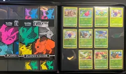 Pokemon Evolving Skies Near Complete Reverse Holo/Holo Set With V/VMax/VStars - Image 1