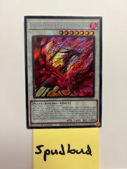 Bramble Rose Dragon Secret Rare DOOD-EN039 NM 1st Ed Yu-Gi-Oh! - Image 1