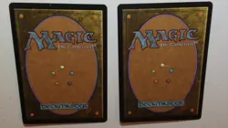 X2 MTG Parallax Wave Magic the Gathering Nemesis #17 NM - Image 2