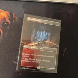 Mtg Elegant Parlor Borderless - Murders at Karlov Manor + Bonus Foils - Image 3