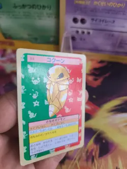 Pokemon Karte Card Topsun blue back 1995 bandai japanese Kakuna Kokuna NM - Image 4