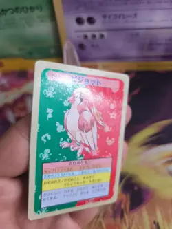 Pokemon Karte Card Topsun blue back 1995 bandai japanese Pidgeot Tauboss NM - Image 2