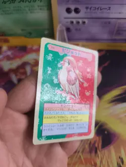 Pokemon Karte Card Topsun blue back 1995 bandai japanese Pidgeot Tauboss NM - Image 5