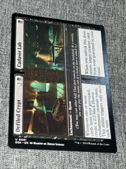 MTG Duskmourn: House of Horror Defiled Crypt / Cadaver Lab 0091 NM - Image 1