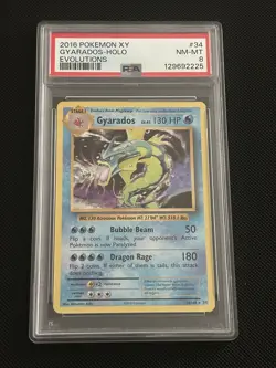 Gyarados 34/108 - 2016 Pokemon XY Evolutions Holo - PSA 8 - Image 1