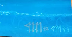 Tropical Island Play Mat MTG Playmat SIGNED Jesper Myrfors Wizards Of The Coast - Image 3